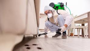 Best Residential Pest Control  in Orleans, IN